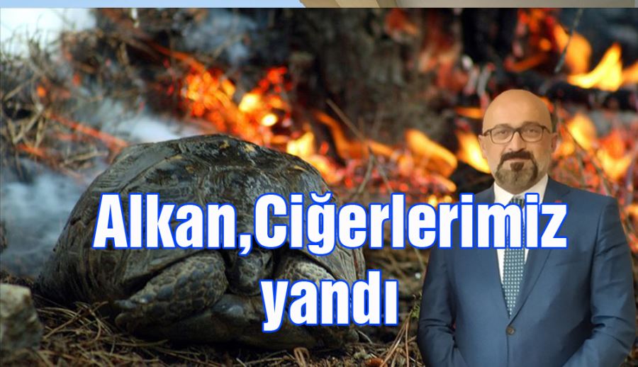 Veteriner Hekim Ahmet Metin Alkan,Ciğerlerimiz yandı, yanıyor