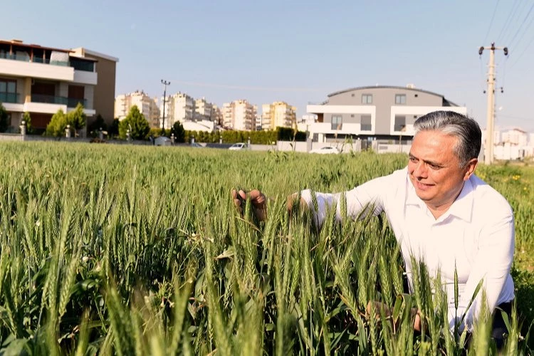 Antalya Muratpaşa Gıda Politika Rehberi geliyor