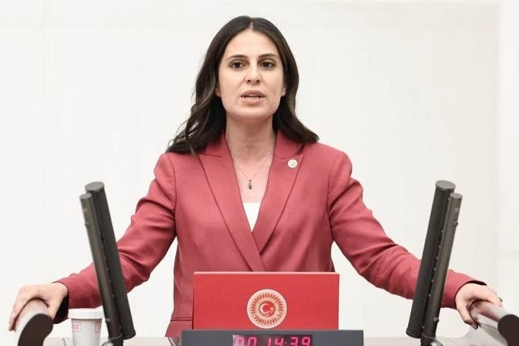 CHP Muğla Milletvekili Özcan: 