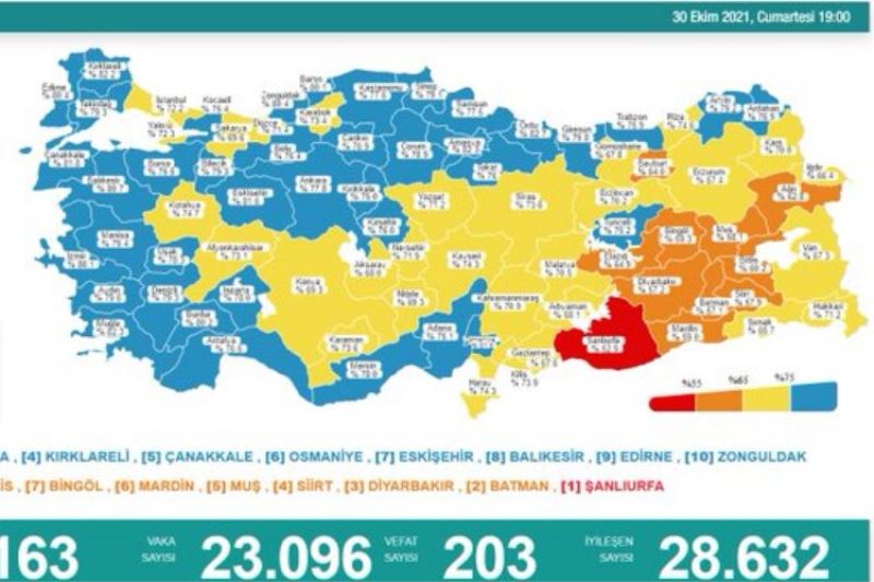 Bakan Koca: 