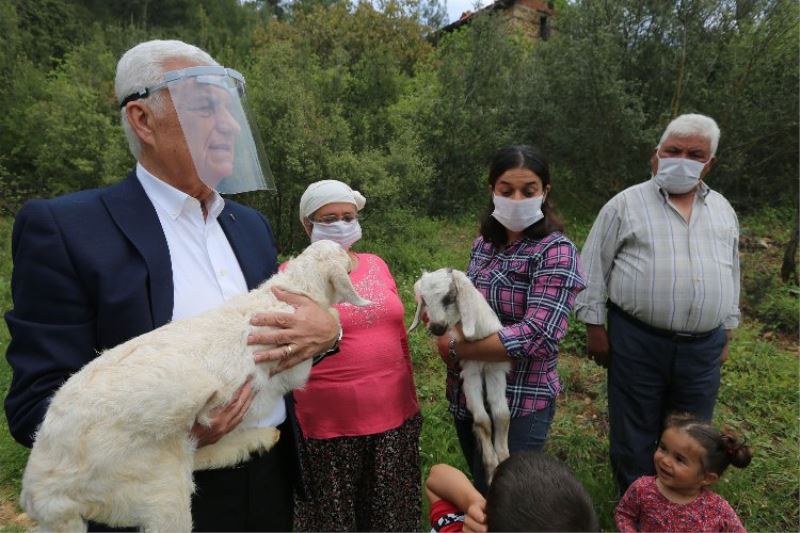 Muğla Büyükşehir, 126 kadın üreticiye destekleme yaptı 