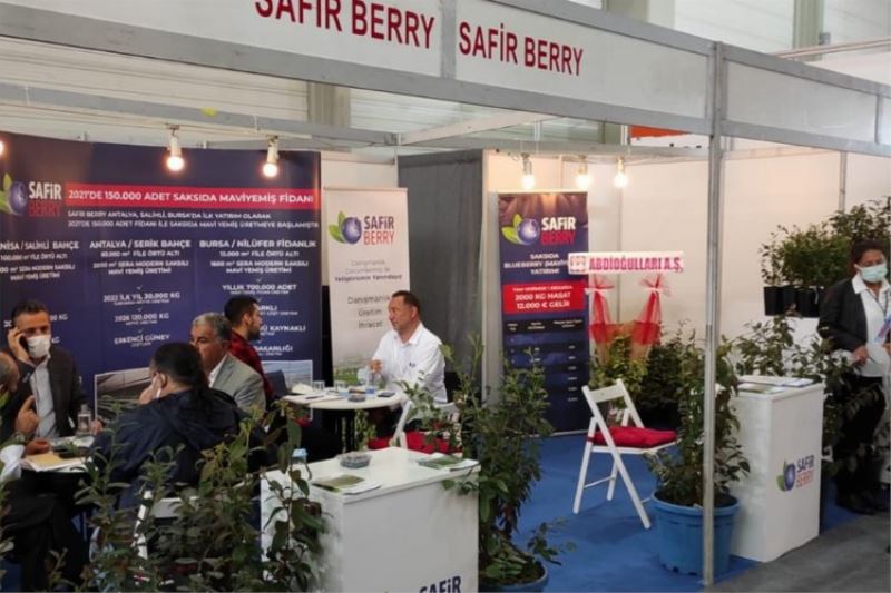 Maviyemiş üreticisi Safir Berry, Manisa