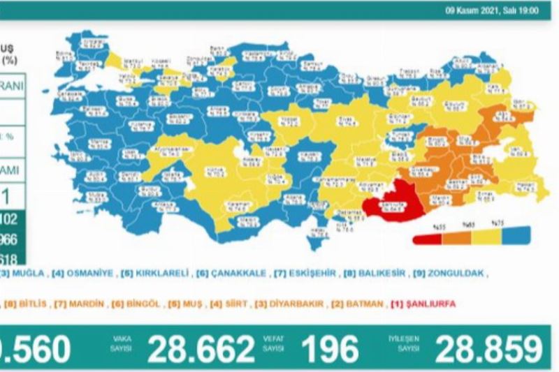 Vefat edenlerin sayısı 196 