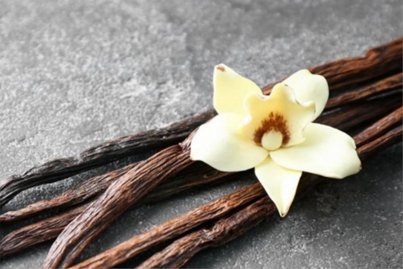 Türk markası vanilya  30 ülkeye ihraç ediliyor 