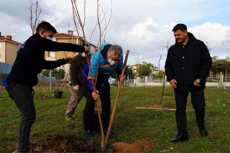 Kırklareli Lüleburgaz halkına meyve bahçesi 