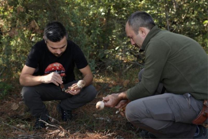 Mantar avcıları Bursa İnegöl