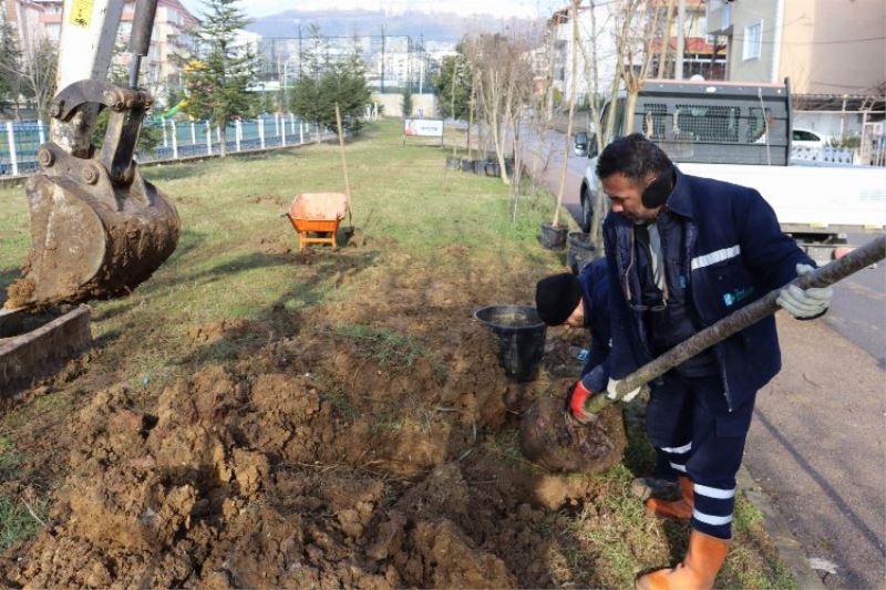 Kocaeli İzmit Yeşilova Mahallesi