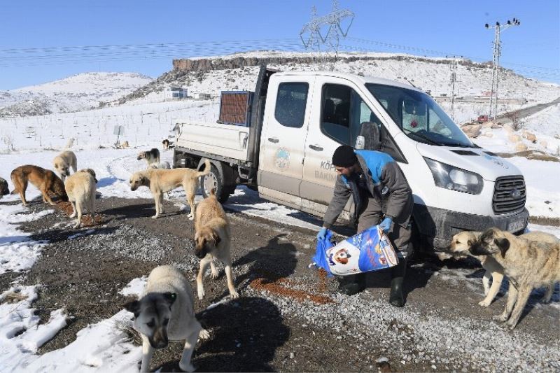 Kayseri Büyükşehir