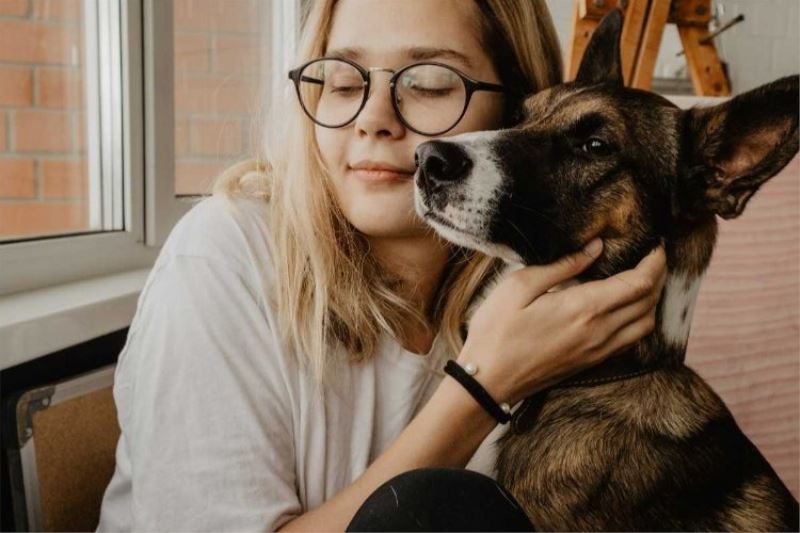 Evde erken yaşta kedi ve köpek beslemek, alerji riskini azaltıyor