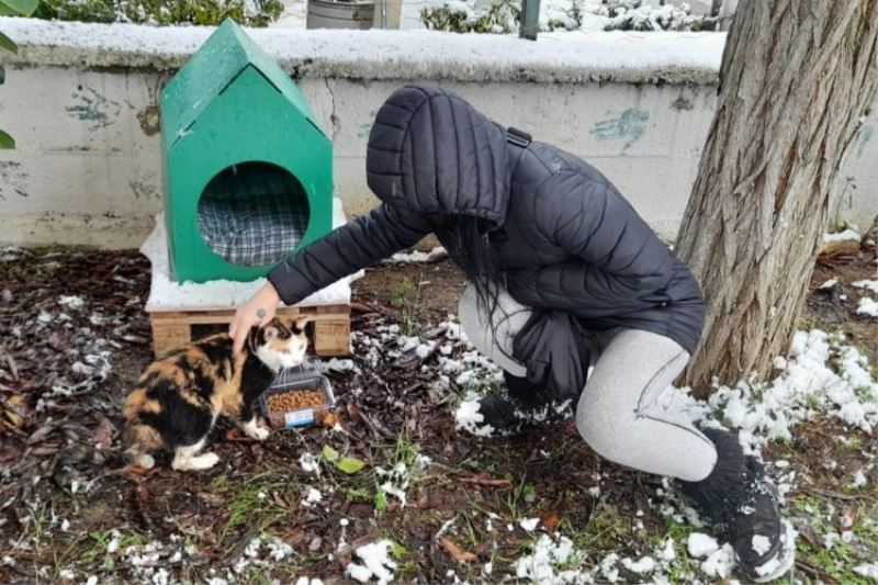 Kocaeli İzmit Belediyesi, kar nedeniyle ağaçta mahsur kalan kediyi kurtardı