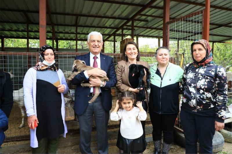 Muğla Büyükşehir’in desteklediği üniversite mezunu kadınlar hayvancılığa başladı