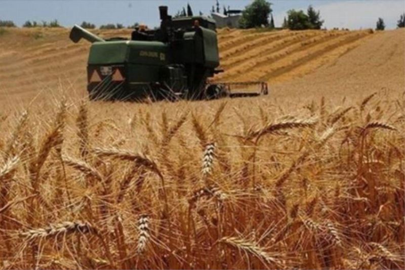 Bazı yağlarda Gümrük Vergisi sıfırlandı