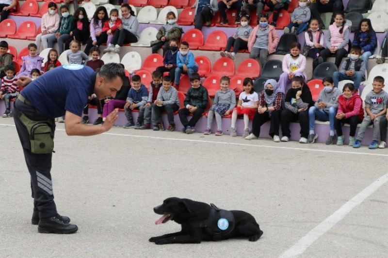 Can dost Asel, yeni yuvasında