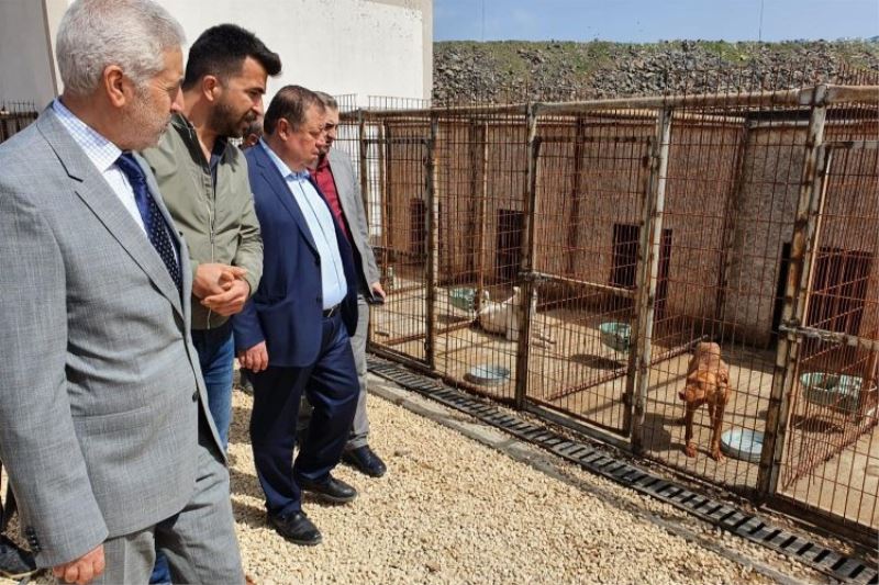 Kilis Belediye Başkanı Ramazan: “Hayvanlar rabbim tarafından bizlere emanet edilmiştir”