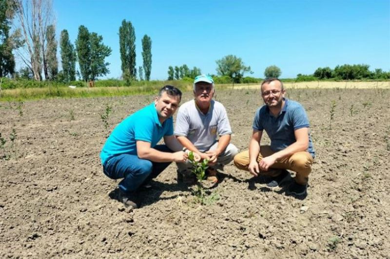 Bursa tıbbi aromatik üretim üssü olacak