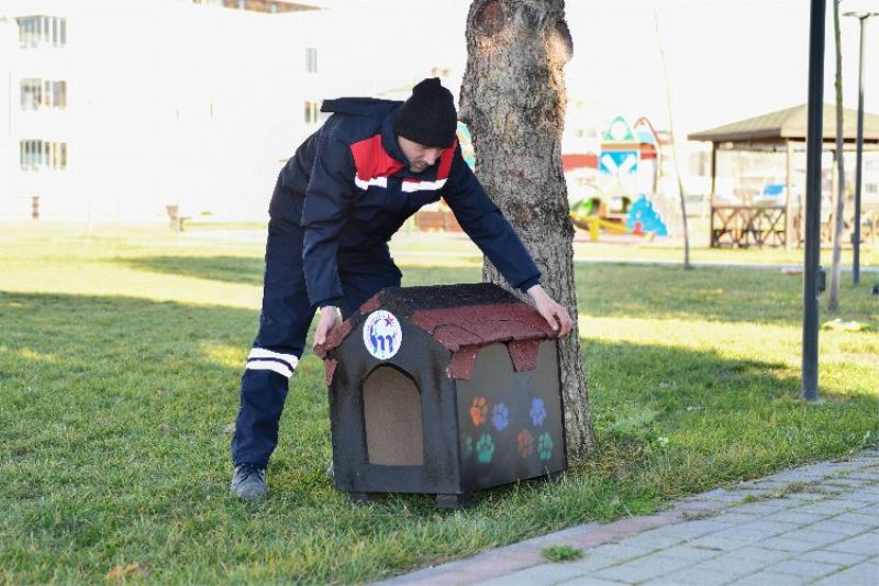 Kedilerin sıcak evi Bursa Mustafakemalpaşa