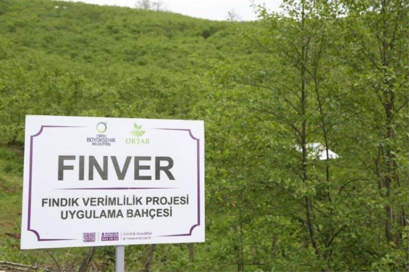 FINVER Projesi’ne TARSİM desteği