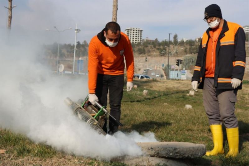 Büyükşehir vektör ile mücadelede işi sıkı tutuyor