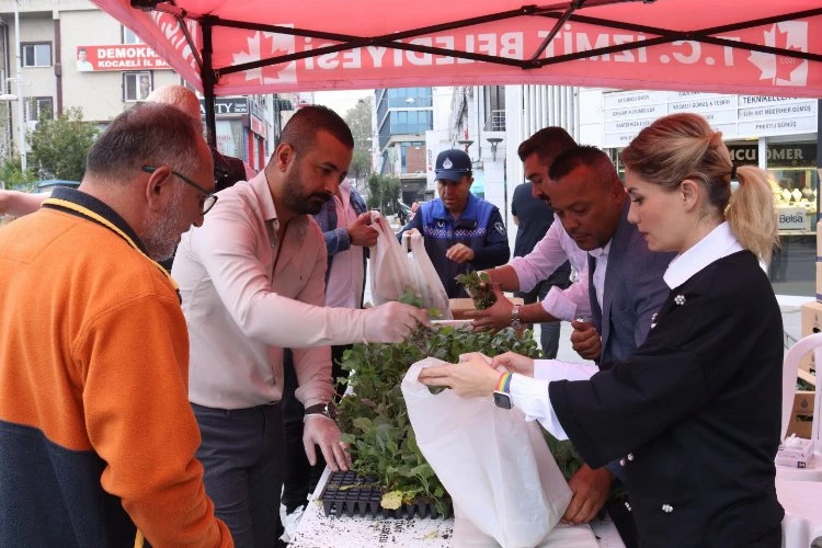 İzmit, hibe karalahana fidelerini üreticilerle buluşturdu