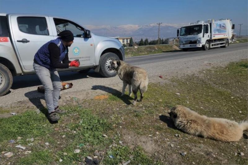 Manisa Kahramanmaraş