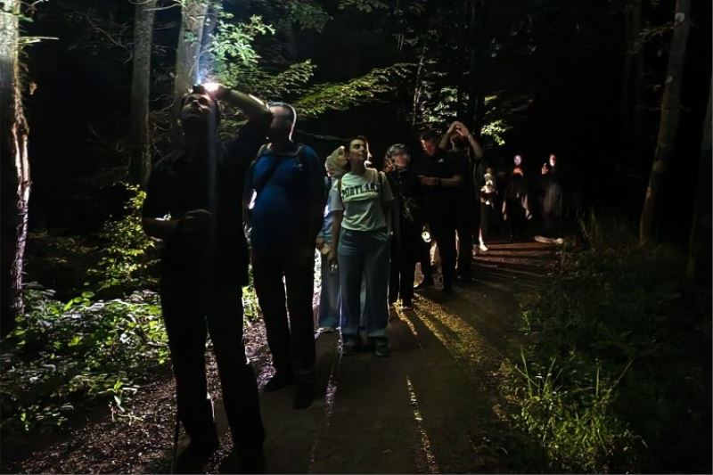 Ormanya’da macera dolu gece yürüyüşü... Yarasa dinletisi yapıldı