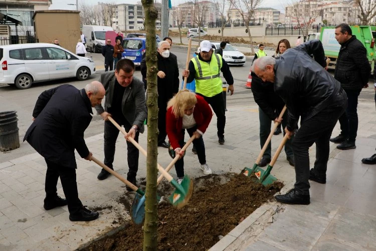 Büyükçekmece yeni yıla 24 mahalleye ağaç dikerek girdi