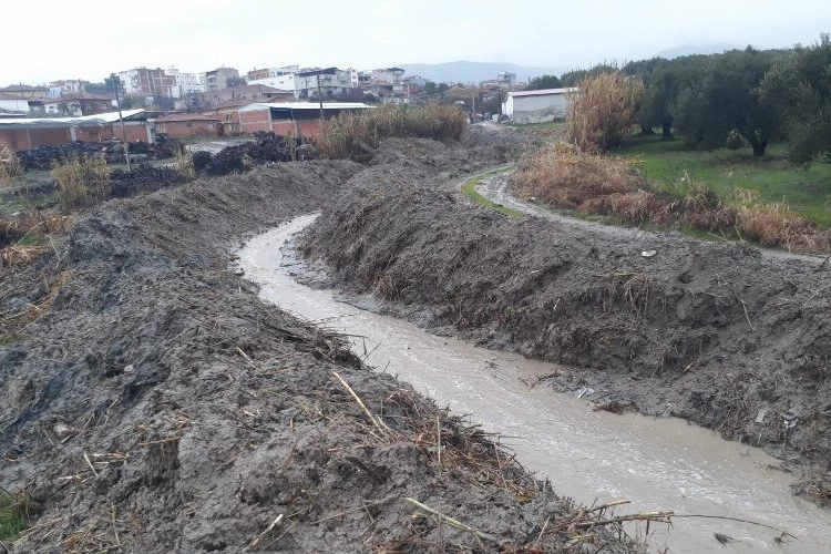 Manisa Zeytinliova’da dere temizliği