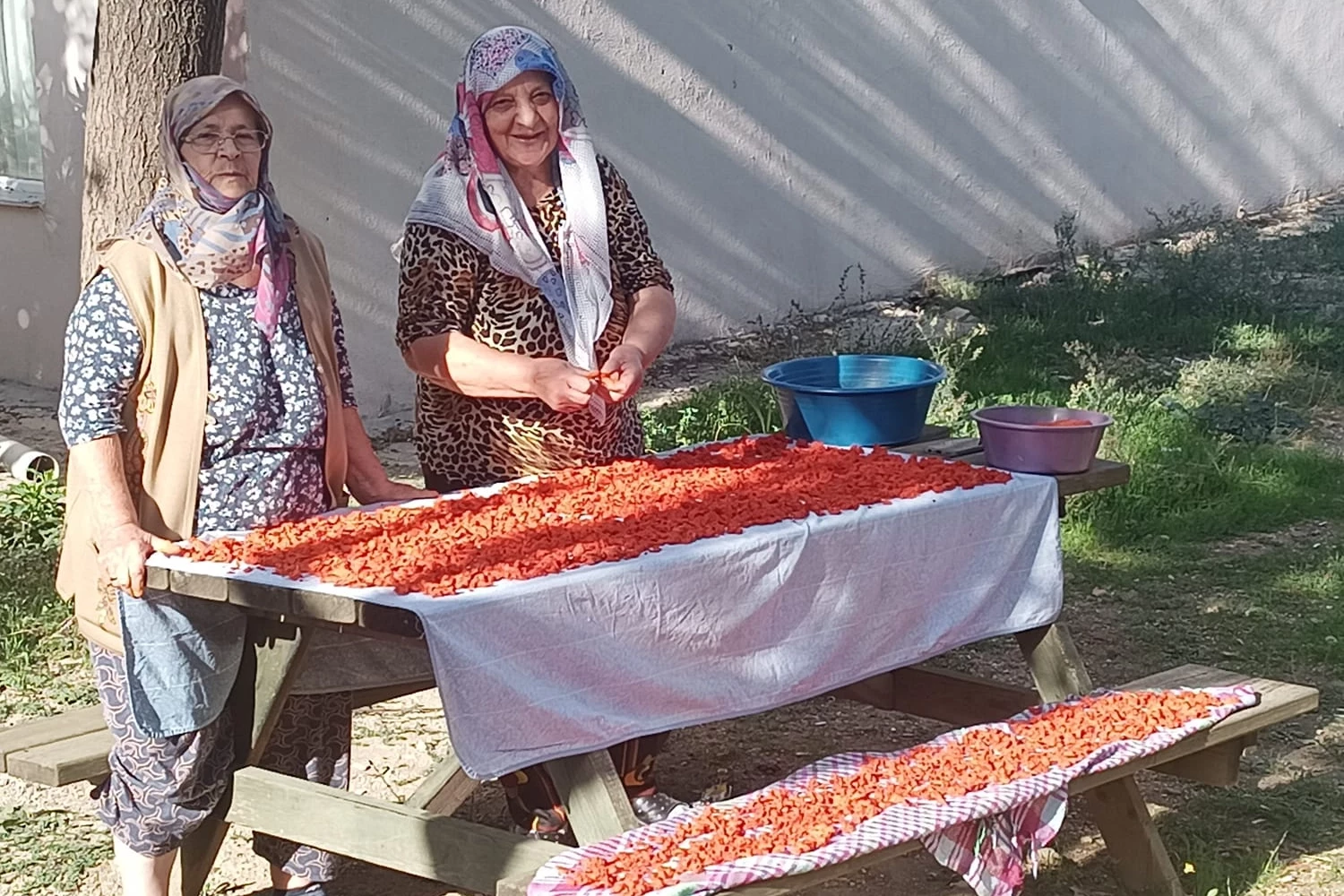 Kışın en ilgi gören tarhana çorbası için hazırlıklar başladı