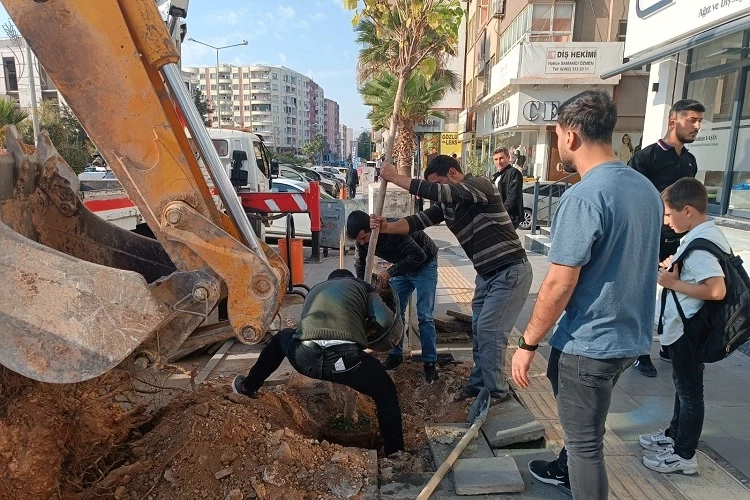 Mardin’de ağaç kesenler fidan dikti