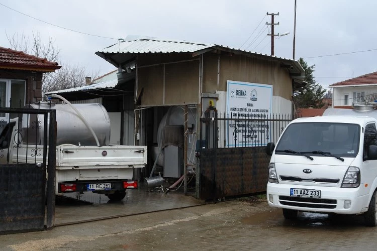 Çiğ sütte Pazaryeri’nden ülke ekonomisine milyonluk katkı