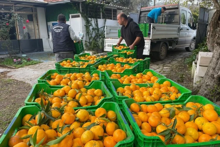 Muğla