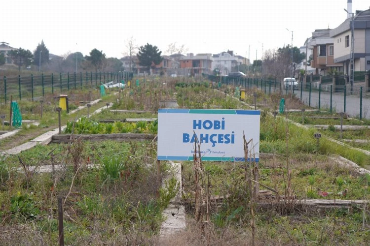 Beylikdüzü