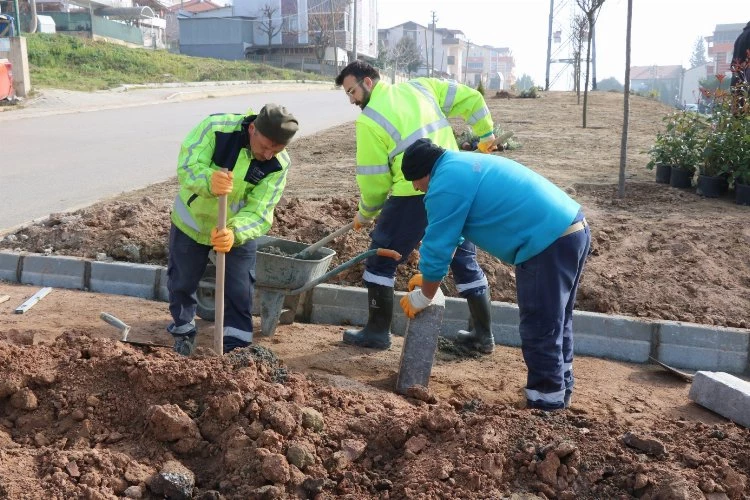 Büyükşehir, refüjleri ağaçlandırıyor