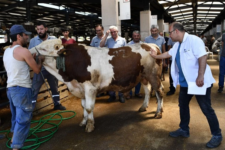 Osmangazi Belediyesinde Kurban Bayramı hazırlığı