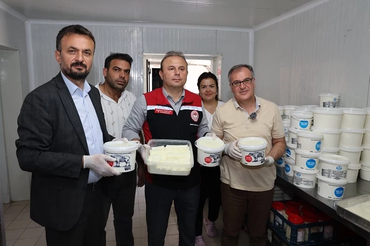 Kayseri Hacılar mozzarella peyniri üretecek