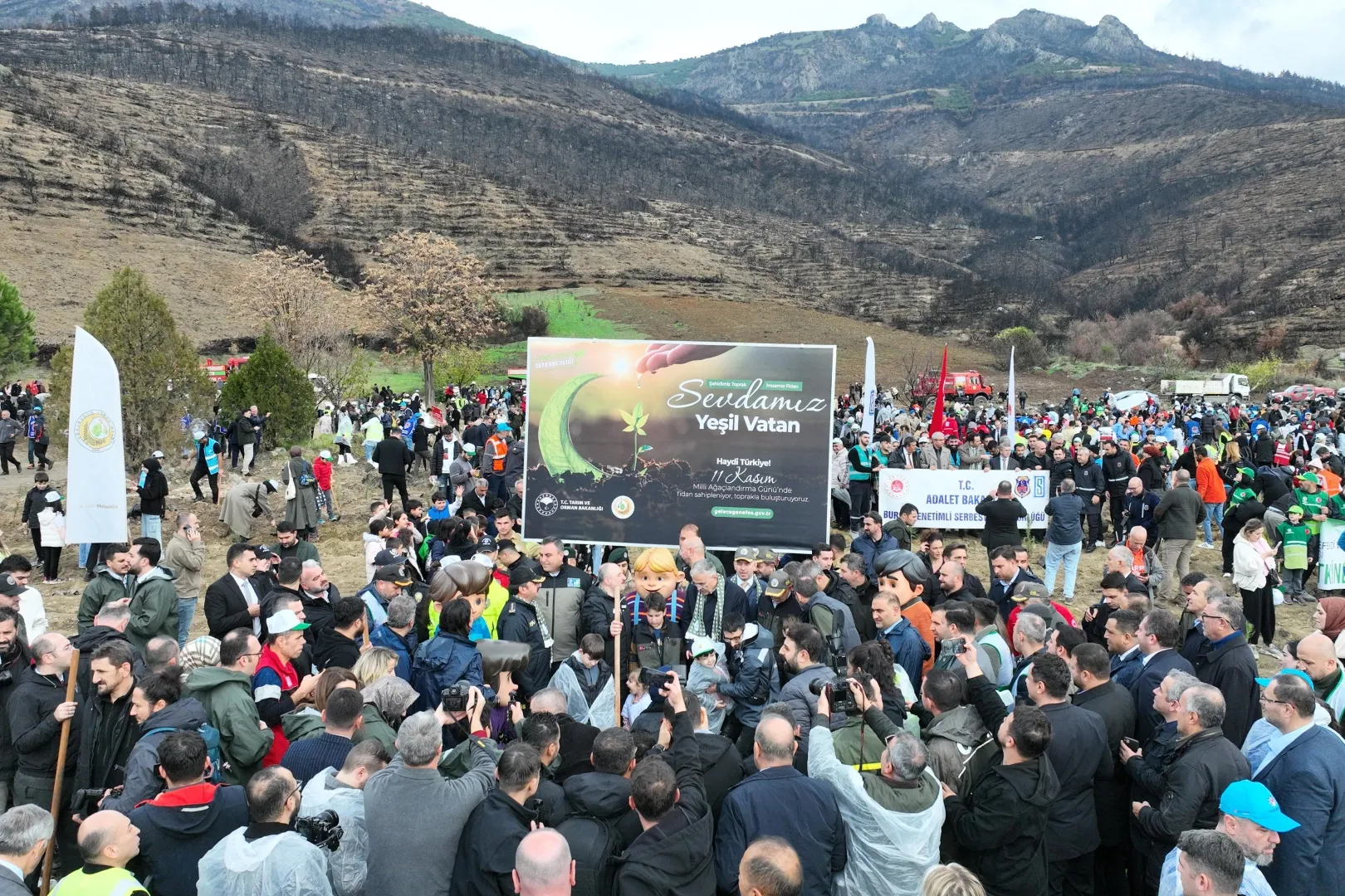 Bursa Gürsu’da yangın bölgesi yeniden hayat buluyor