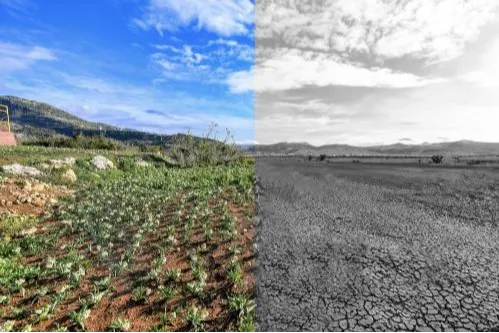 Mersin’de iklim ve yeşil dönüşüm önceliği