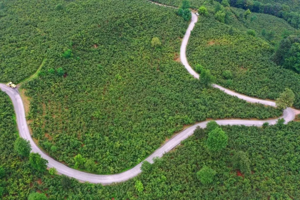 Ordu Büyükşehir’den Ulubey’e 7 kilometrelik asfalt yatırımı