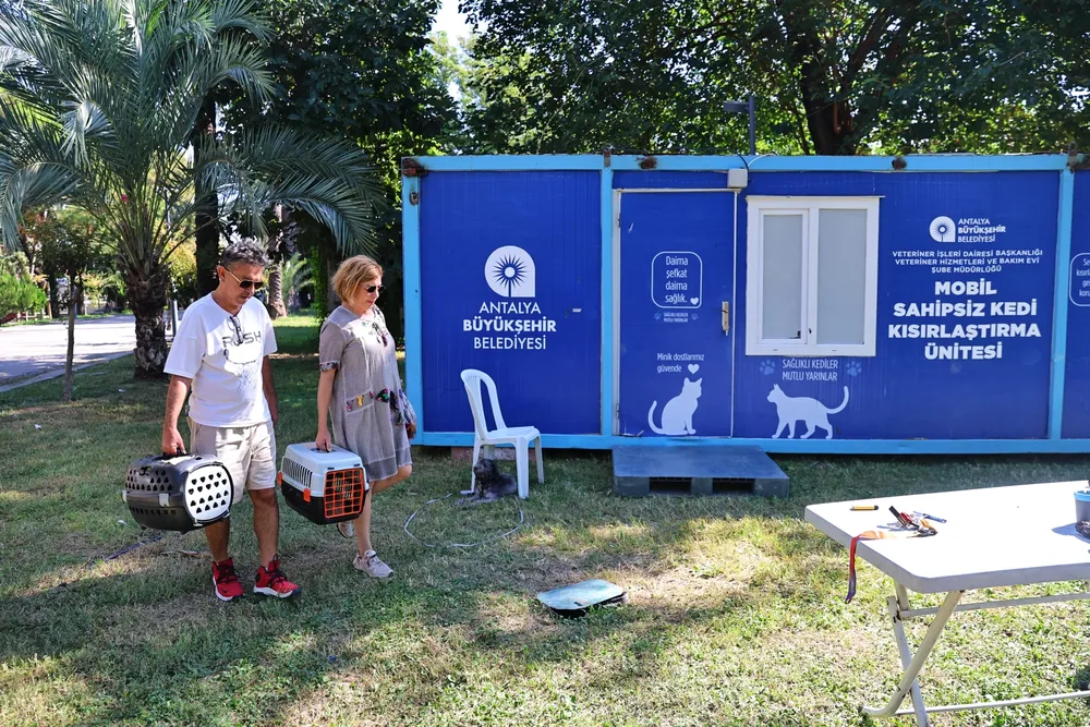 Antalya'da hayvan dostu çalışmaları sürüyor