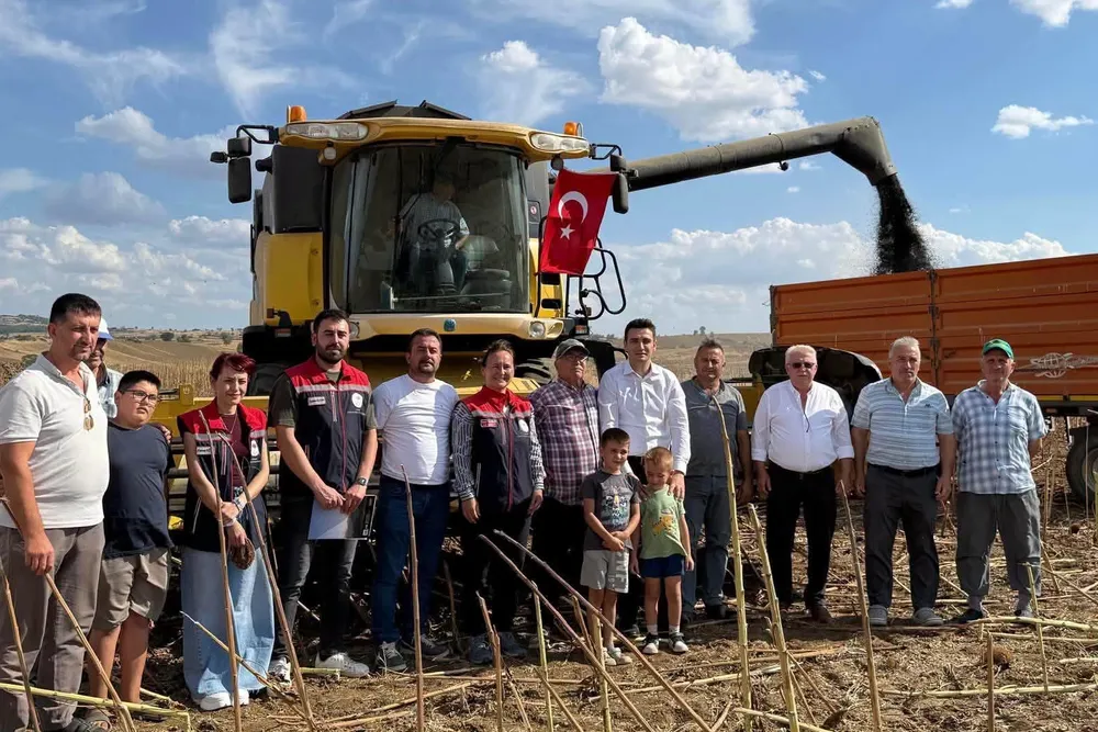 İpsala’da ayçiçeği hasadı heyecanı